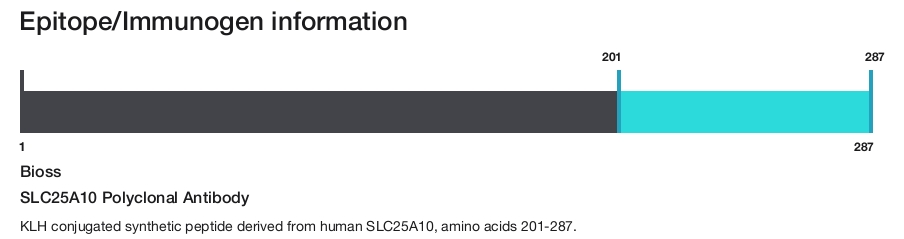 SLC25A10 Polyclonal Antibody