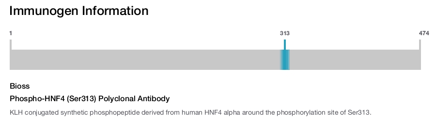 Phospho-HNF4 (Ser313) Polyclonal Antibody
