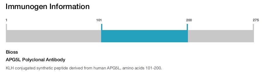 APG5L Polyclonal Antibody