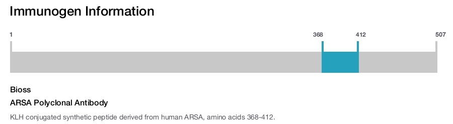 ARSA Polyclonal Antibody