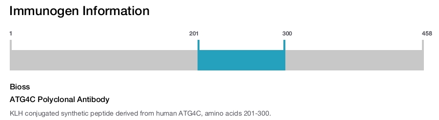 ATG4C Polyclonal Antibody