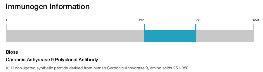 Carbonic Anhydrase 9 Polyclonal Antibody