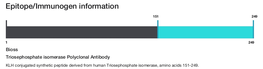 Triosephosphate isomerase Polyclonal Antibody