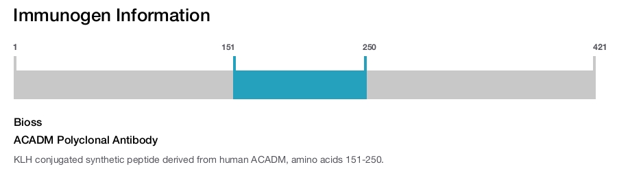 ACADM Polyclonal Antibody