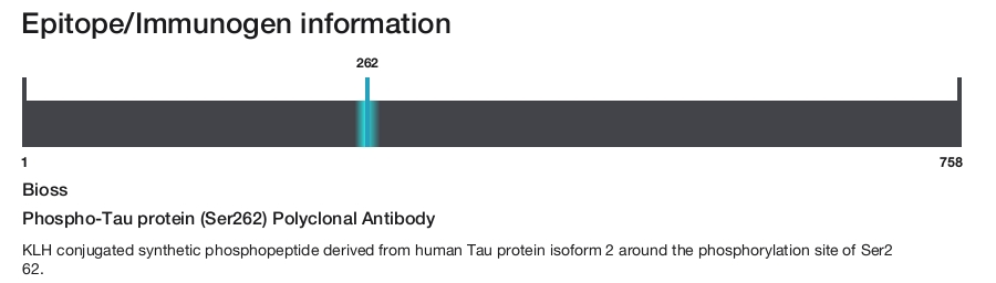 Phospho-Tau protein (Ser262) Polyclonal Antibody