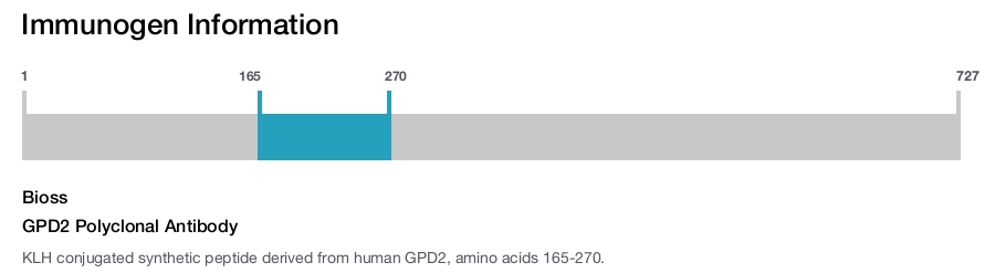 GPD2 Polyclonal Antibody