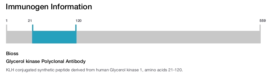 Glycerol kinase Polyclonal Antibody