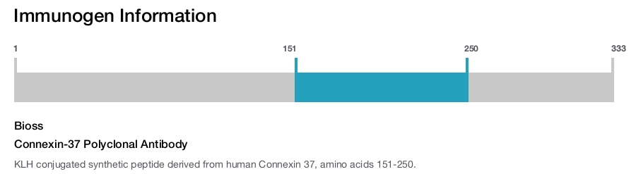 Connexin-37 Polyclonal Antibody