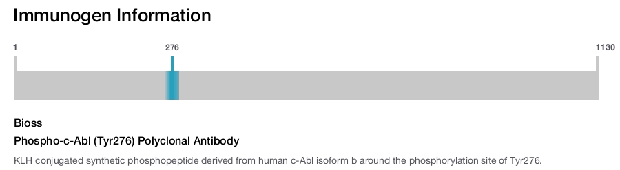 Phospho-c-Abl (Tyr276) Polyclonal Antibody