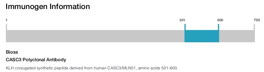 CASC3 Polyclonal Antibody