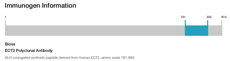 ECT2 Polyclonal Antibody