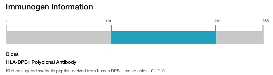 HLA-DPB1 Polyclonal Antibody