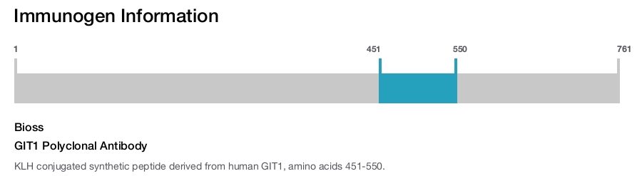 GIT1 Polyclonal Antibody