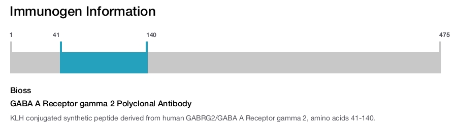 GABA A Receptor gamma 2 Polyclonal Antibody