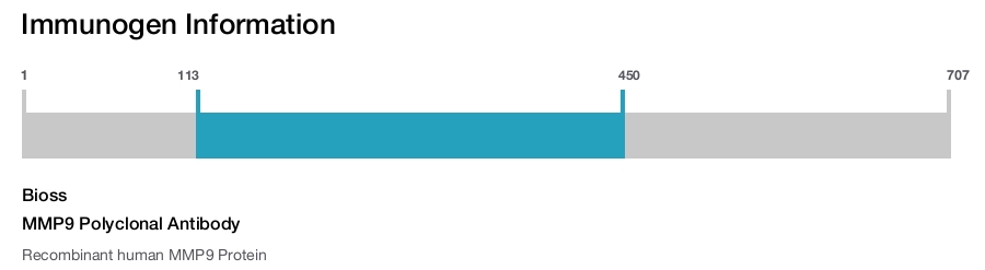 MMP9 Polyclonal Antibody