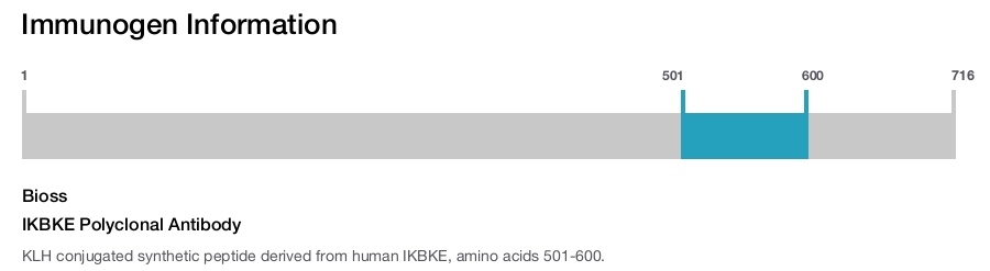 IKBKE Polyclonal Antibody