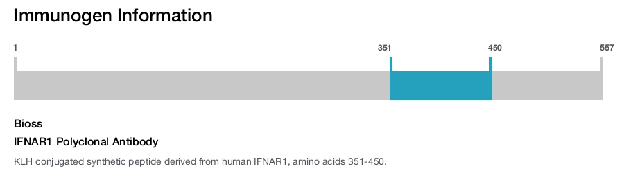 IFNAR1 Polyclonal Antibody