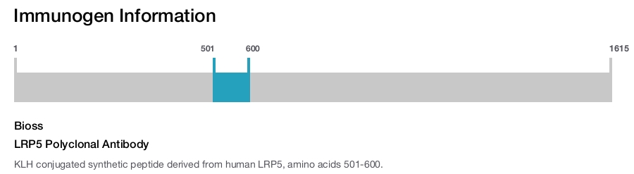 LRP5 Polyclonal Antibody