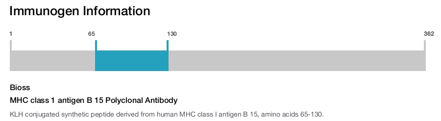 MHC class 1 antigen B 15 Polyclonal Antibody