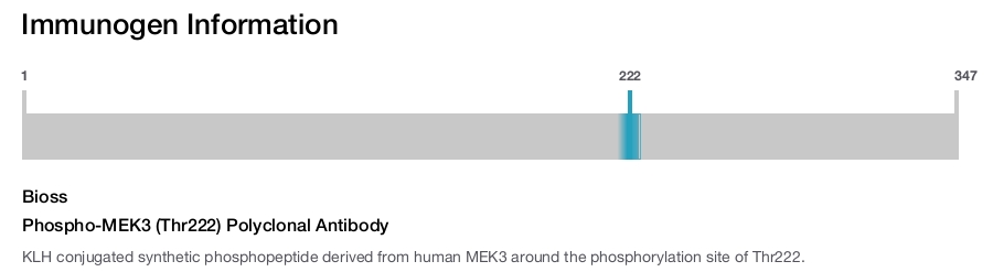 Phospho-MEK3 (Thr222) Polyclonal Antibody