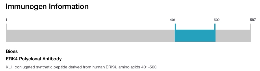 ERK4 Polyclonal Antibody
