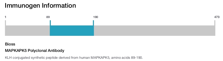 MAPKAPK5 Polyclonal Antibody