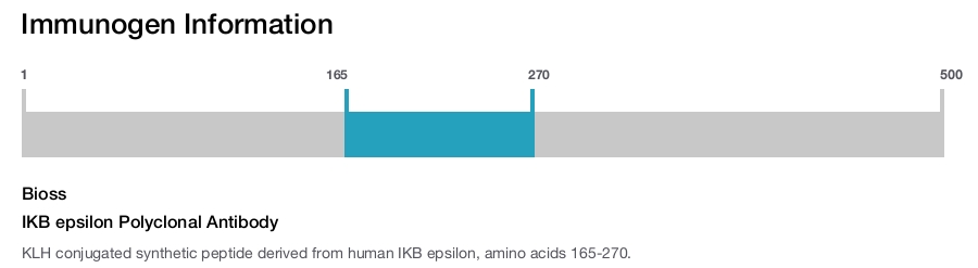 IKB epsilon Polyclonal Antibody