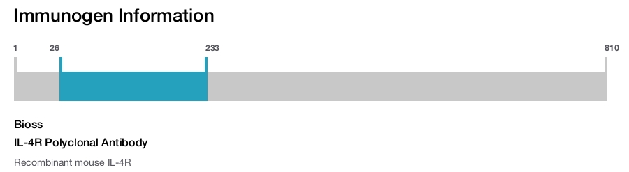 IL-4R Polyclonal Antibody