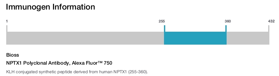 NPTX1 Polyclonal Antibody, Alexa Fluor&trade; 750