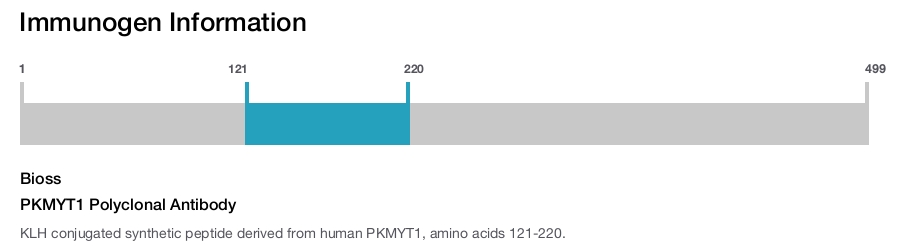 PKMYT1 Polyclonal Antibody