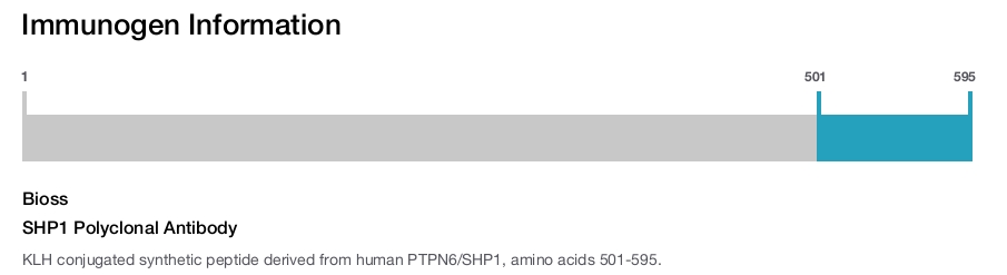 SHP1 Polyclonal Antibody