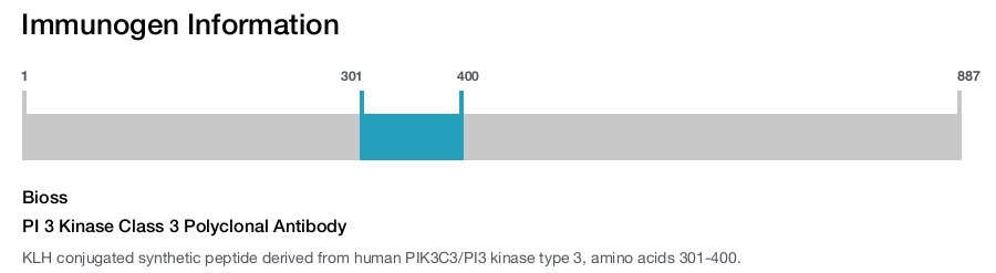 PI 3 Kinase Class 3 Polyclonal Antibody