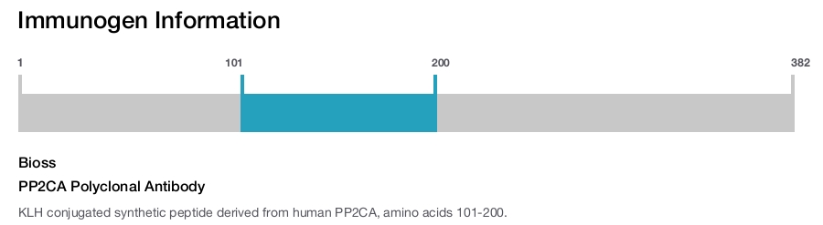 PP2CA Polyclonal Antibody