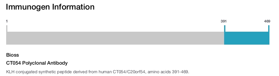 CT054 Polyclonal Antibody