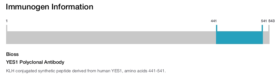 YES1 Polyclonal Antibody