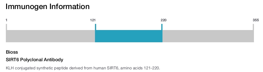 SIRT6 Polyclonal Antibody