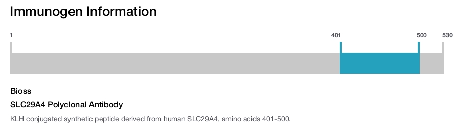 SLC29A4 Polyclonal Antibody
