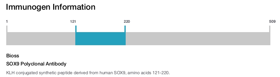 SOX9 Polyclonal Antibody