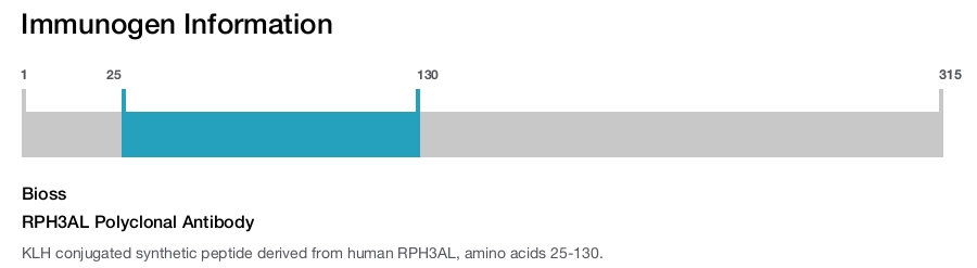 RPH3AL Polyclonal Antibody