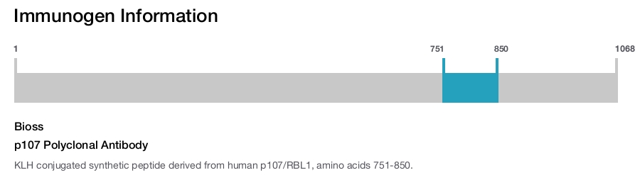 p107 Polyclonal Antibody
