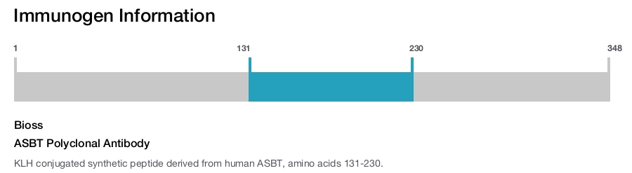 ASBT Polyclonal Antibody
