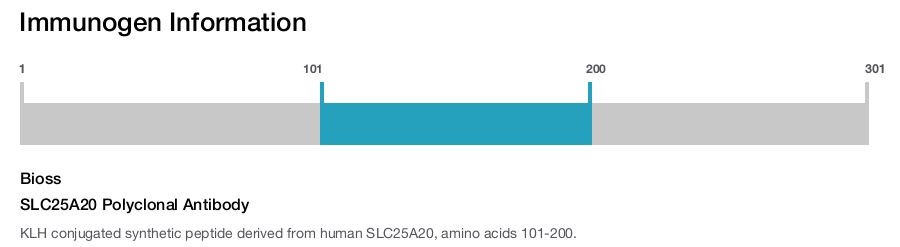SLC25A20 Polyclonal Antibody