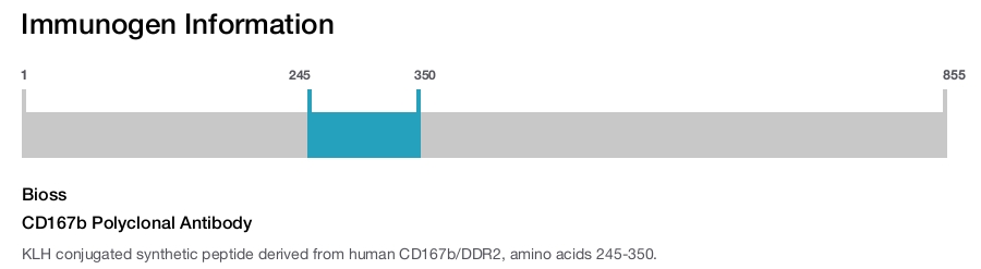 CD167b Polyclonal Antibody