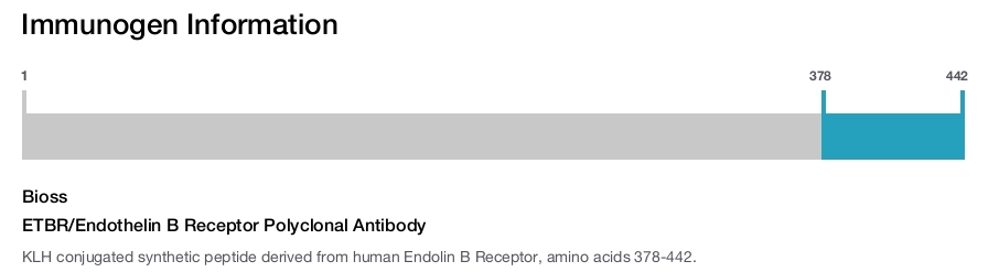ETBR/Endothelin B Receptor Polyclonal Antibody