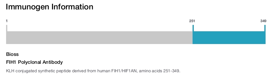 FIH1 Polyclonal Antibody