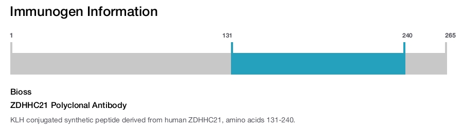 ZDHHC21 Polyclonal Antibody
