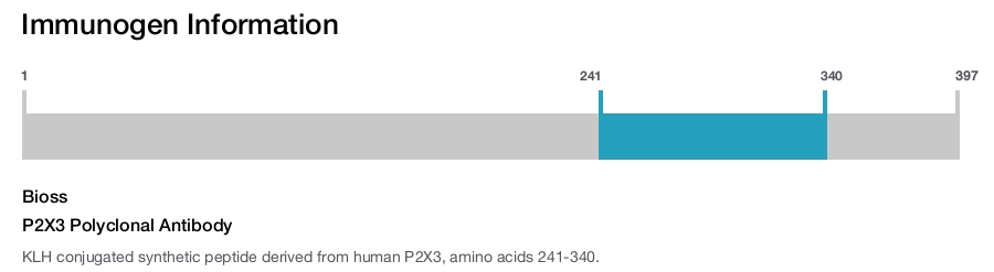 P2X3 Polyclonal Antibody