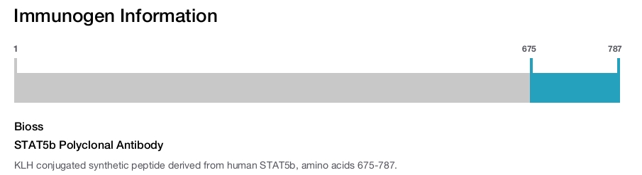 STAT5b Polyclonal Antibody