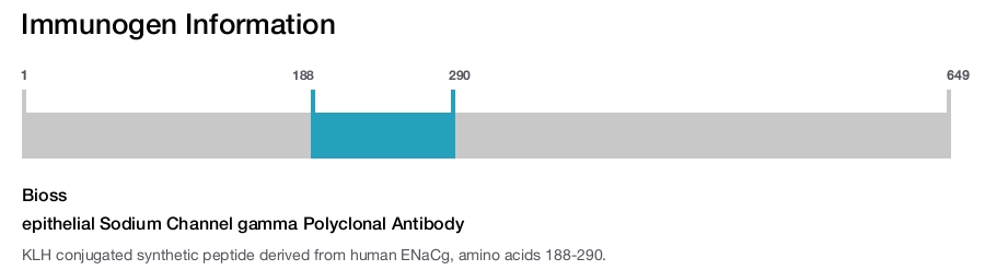 epithelial Sodium Channel gamma Polyclonal Antibody