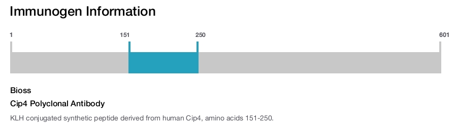 Cip4 Polyclonal Antibody